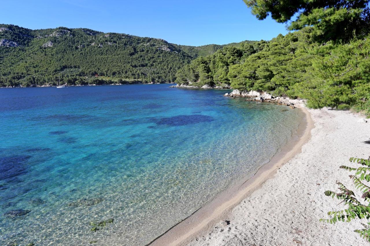 Apartments With A Parking Space Zuljana, Peljesac - 4573 المظهر الخارجي الصورة